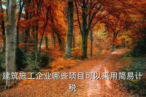 什么行業(yè)適合簡易征收，建筑行業(yè)什么情況下可以選擇簡易征收