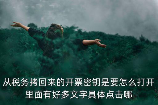 從稅務(wù)拷回來(lái)的開票密鑰是要怎么打開里面有好多文字具體點(diǎn)擊哪