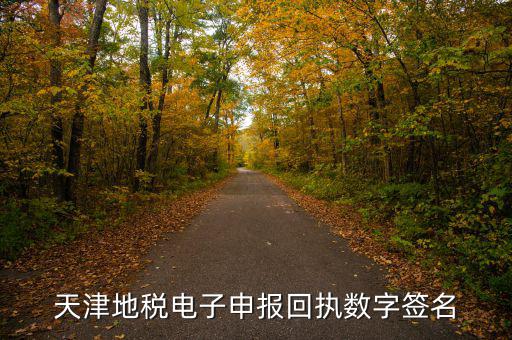 天津地稅自查表是什么，天津地稅電子申報(bào)回執(zhí)數(shù)字簽名