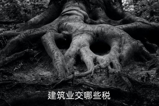 建筑設計交什么稅，建筑設計企業(yè)所得稅應該交什么稅呀怎么抵扣