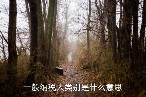 納稅人類別填什么，一般納稅人類別是什么意思