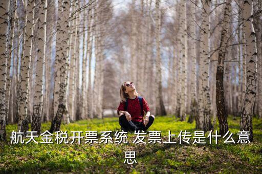航天金稅是什么，航天金稅接口是什么意思呢