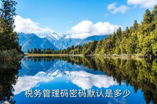 稅務(wù)管理碼密碼默認是多少