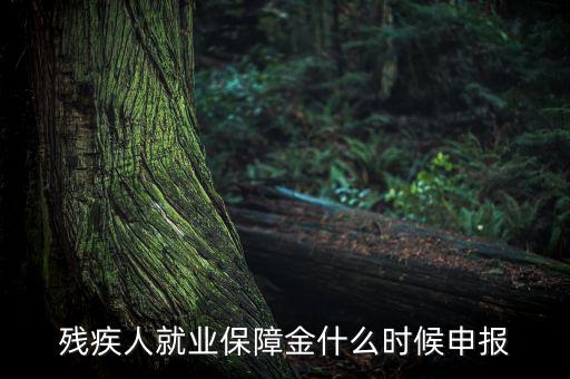 殘疾人保障金什么時候，殘疾人就業(yè)保障金怎么交什么時侯交會計分錄