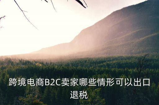 什么情況下要退稅，跨境電商B2C賣(mài)家哪些情形可以出口退稅