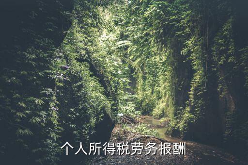 個稅什么情況勞務(wù)報酬，有關(guān)個稅勞務(wù)報酬