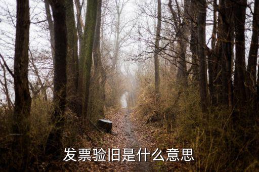 稅務(wù)驗(yàn)舊是什么意思，發(fā)票驗(yàn)證時(shí)提示舊系統(tǒng)已驗(yàn)舊是什么意思