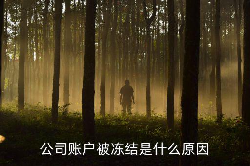 公司賬戶被凍結是什么原因