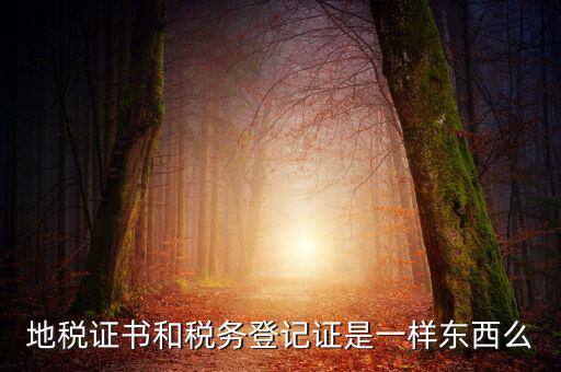 地稅登記證是什么，地方稅納稅資料封面上稅務登記證號是甚么