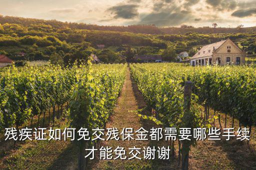 殘疾人免什么資料，在職工殘疾人需要提交哪些資料可以免交工資稅