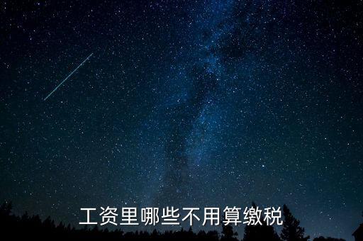 什么所得不用上稅，哪些類型的工資薪金所得不用納稅