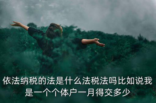 什么是依法納稅人，依法納稅的法是什么法稅法嗎比如說(shuō)我是一個(gè)個(gè)體戶一月得交多少