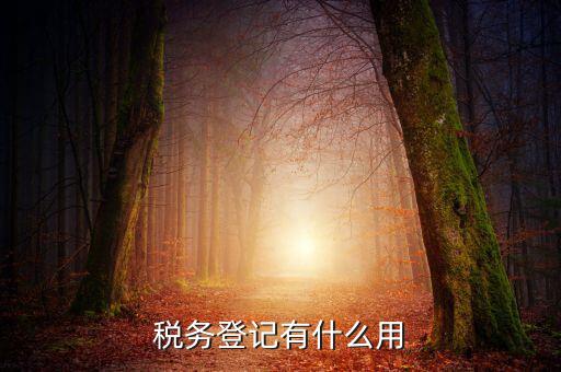 有稅務登記有什么好，稅務登記有什么用