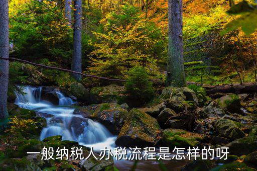 什么是正常辦稅，一般納稅人辦稅流程是怎樣的呀