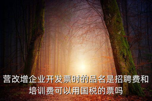 營改增企業(yè)開發(fā)票時的品名是招聘費和培訓(xùn)費可以用國稅的票嗎
