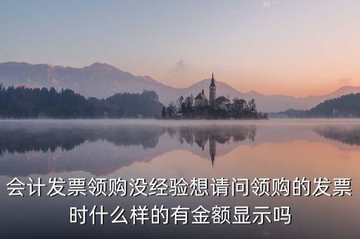 發(fā)票領(lǐng)用單是什么樣的，會(huì)計(jì)發(fā)票領(lǐng)購沒經(jīng)驗(yàn)想請問領(lǐng)購的發(fā)票時(shí)什么樣的有金額顯示嗎