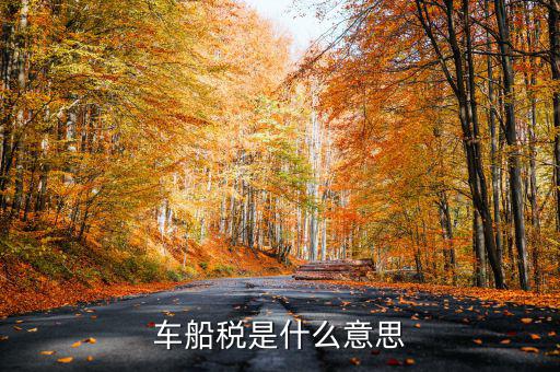 車船稅干什么用的，車船稅具體有些什么用處呢