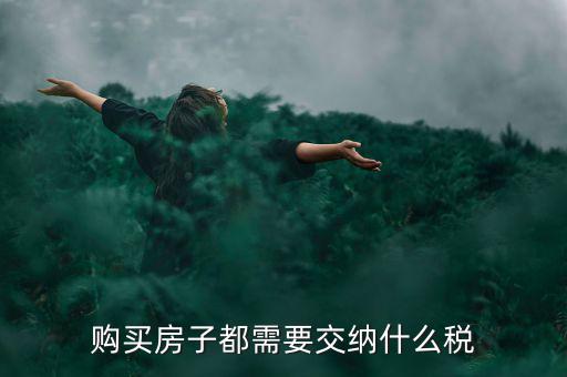 什么稅務(wù)，普通老百姓都交什么稅