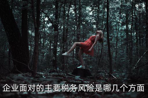 企業(yè)面對的主要稅務(wù)風(fēng)險(xiǎn)是哪幾個(gè)方面