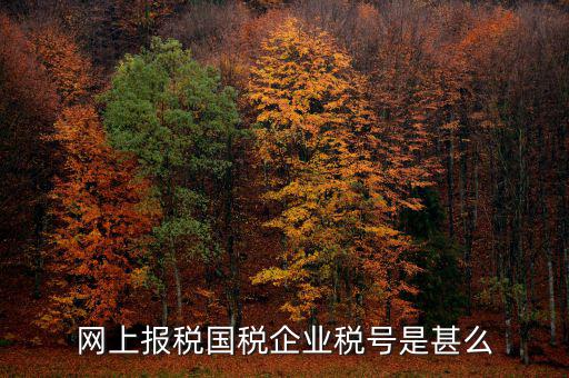 國稅稅務(wù)號是什么，國稅納稅號碼 是不是就是稅務(wù)通知書上那個納稅人識別號