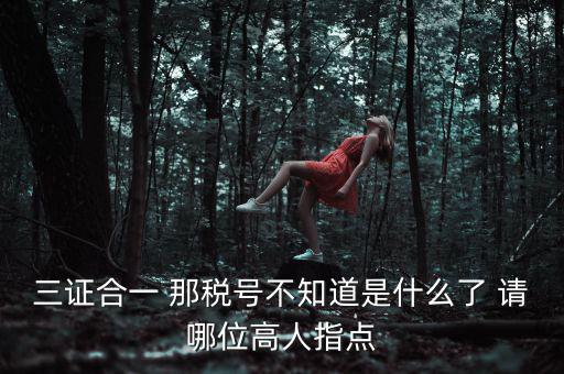 三證合一后的發(fā)票稅號是什么意思，三證合一 那稅號不知道是什么了 請哪位高人指點