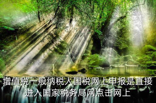 增值稅一般納稅人國稅網(wǎng)上申報是直接進入國家稅務局網(wǎng)點擊網(wǎng)上