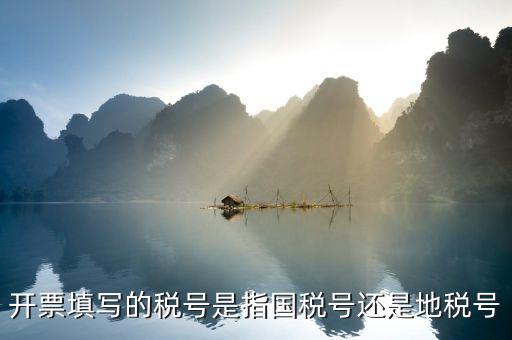 開票填寫的稅號(hào)是指國(guó)稅號(hào)還是地稅號(hào)