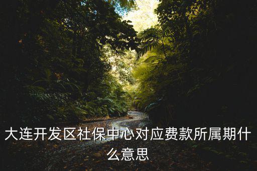 社保所屬期是什么意思，大連開(kāi)發(fā)區(qū)社保中心對(duì)應(yīng)費(fèi)款所屬期什么意思