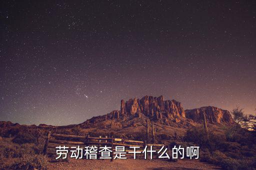 稽查是什么工作，勞動稽查是干什么的啊