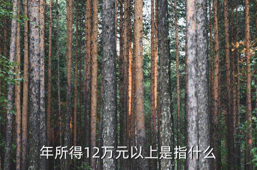 年所得12萬指的是什么意思，年所得12萬元以上是指什么