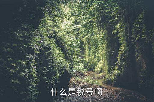 無證合一的稅號(hào)是什么意思，什么叫稅號(hào)