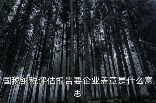 稅務(wù)國別報(bào)告是什么意思，國稅納稅評估報(bào)告要企業(yè)蓋章是什么意思