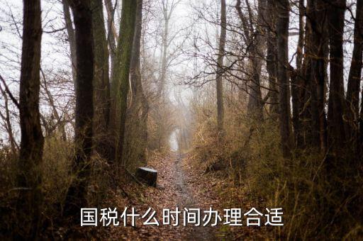國稅局申請什么時候好，國稅什么時間辦理合適