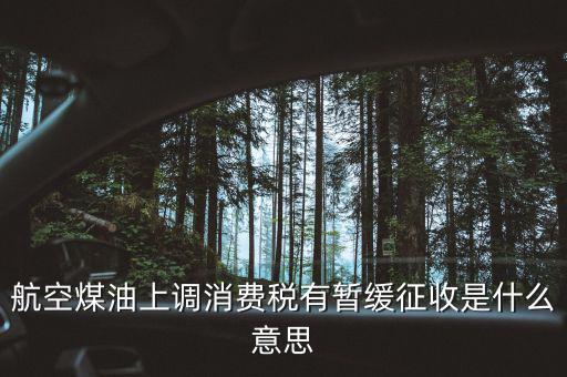 暫緩征收消費稅是什么，航空煤油上調(diào)消費稅有暫緩征收是什么意思