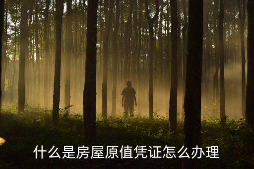 房屋原值是什么，什么是房屋原值憑證怎么辦理