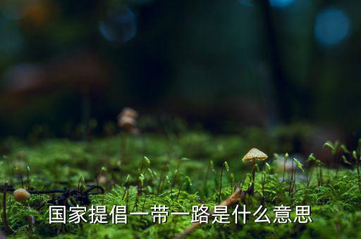 國稅一帶一路什么意思，一帶一路指什么意思