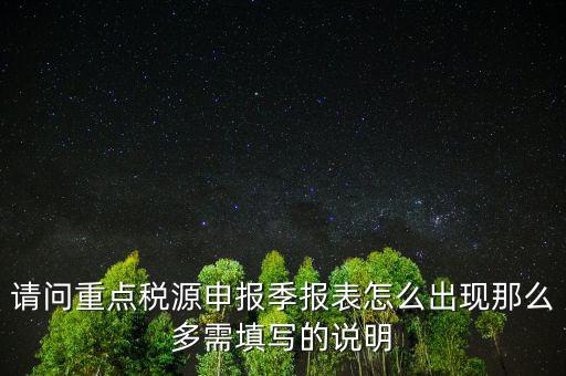 重點(diǎn)稅源申報(bào)要填什么，重點(diǎn)稅源申報(bào)表怎樣填