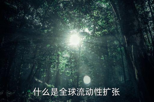 什么叫非居民風(fēng)險(xiǎn)，為什么歐洲央行負(fù)債資金來(lái)源于非居民