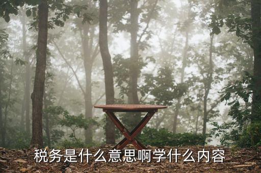 稅務是什么意思啊學什么內(nèi)容
