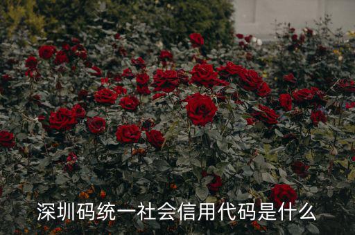 統(tǒng)一社會(huì)信用代碼指什么影響，深圳碼統(tǒng)一社會(huì)信用代碼是什么