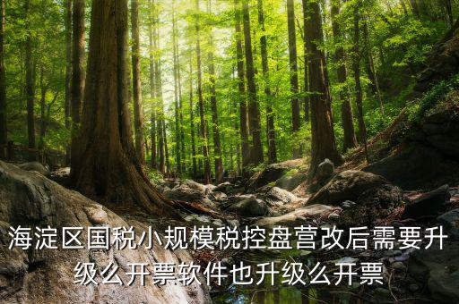 稅控盤為什么要升級(jí)，稅控盤鎖了找稅務(wù)專管員處理了說(shuō)拿回來(lái)要升級(jí)一下怎么升級(jí)