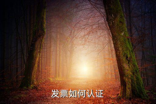發(fā)票通過(guò)什么認(rèn)證，關(guān)于發(fā)票認(rèn)證哪些發(fā)票需要認(rèn)證