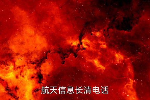 95113航天信息是干什么，航天信息開票系統(tǒng)