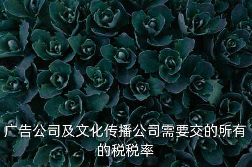 廣告公司需要交什么稅，廣告公司及文化傳播公司需要交的所有的稅稅率