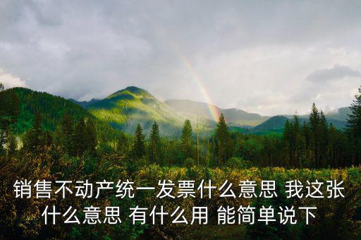 銷售不動(dòng)產(chǎn)統(tǒng)一發(fā)票什么意思 我這張什么意思 有什么用 能簡單說下