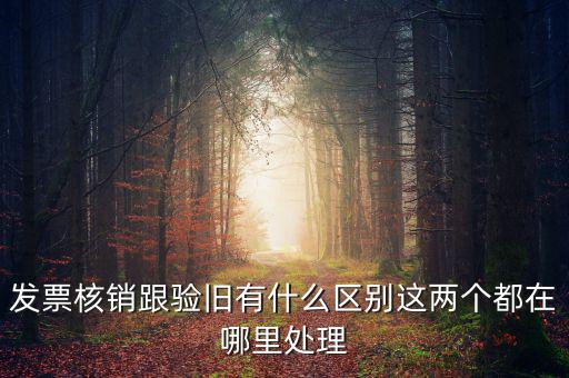 發(fā)票核銷(xiāo)跟驗(yàn)舊有什么區(qū)別這兩個(gè)都在哪里處理