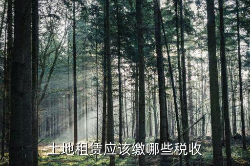 單獨出租土地交什么稅，個人租用農(nóng)民土地交什么稅