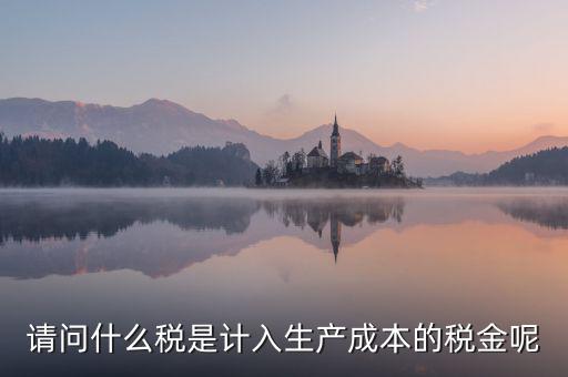 請問什么稅是計入生產成本的稅金呢