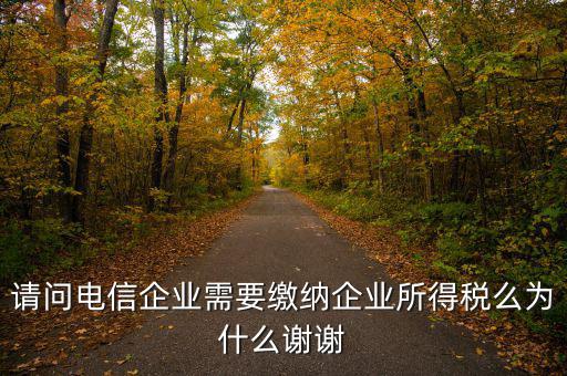 電信服務(wù)交什么稅，請(qǐng)問電信企業(yè)需要繳納企業(yè)所得稅么為什么謝謝