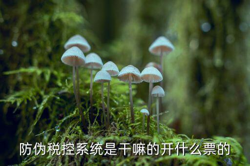 什么是稅控系統(tǒng)數(shù)據(jù)，金稅盤是什么